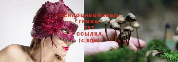 мескалин Верхний Тагил